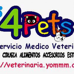 4Pets Servicio Médico Veterinario 100% a Domicilio img-0