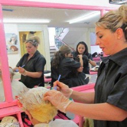 Academia de Belleza y Cosmetologia Venus img-4