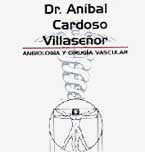 Logo de Angiología y Cirugía Vascular