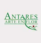Logo de Antares Florería