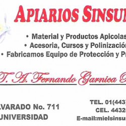 Apiario Sinsuni img-0