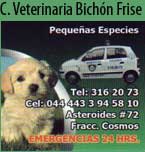 Logo de Bichon Frise Clínica Veterinaria