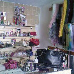 Bolsas y Accesorios Zazu img-0