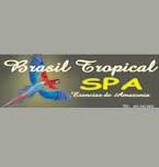Logo de Brasil Tropical Spa