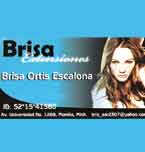 Logo de Brisa Extensiones