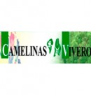 Logo de Camelinas Vivero