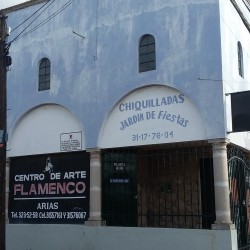 Centro de Arte Flamenco Arias img-1