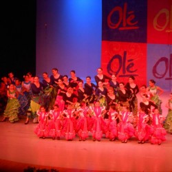 Centro de Arte Flamenco Arias img-8