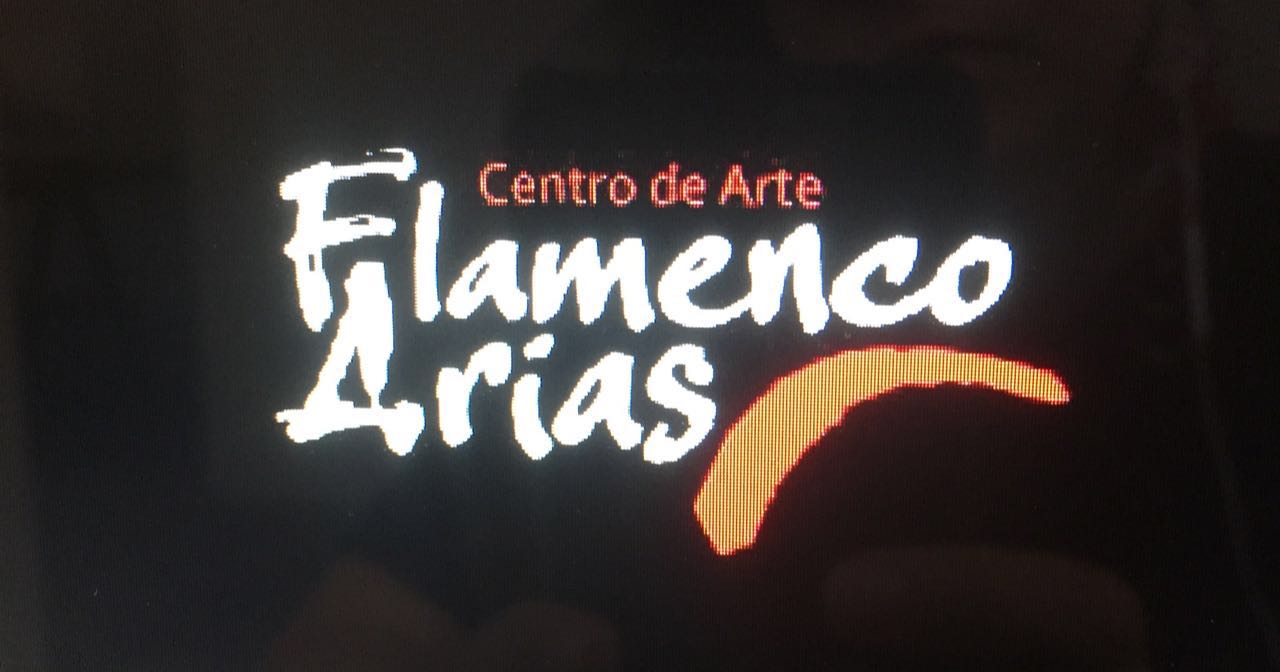 CentrodeArteFlamencoArias