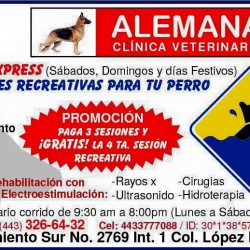 Clínica Veterinaria Alemana img-4