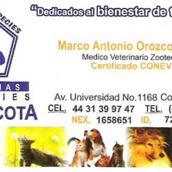 Clinica Veterinaria Pequeñas Especies Tu Mascota img-0