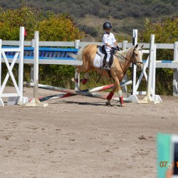 Club Hípico Tarasca img-19