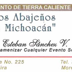 Conjunto de Tierra Caliente Los Abajeños de Michoacán img-0