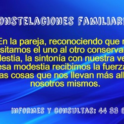 Constelaciones Familiares y Psicoterapia img-7