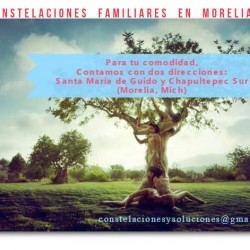 Constelaciones Familiares y Psicoterapia img-2