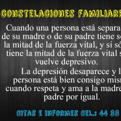 Constelaciones Familiares y Psicoterapia img-8