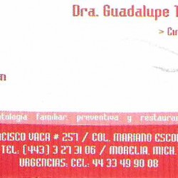 Consultorio Dental Dra. Ma. Guadalupe Trejo Piñón img-0