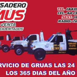 Deshuesadero Lemus img-2