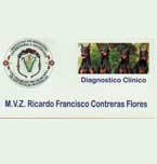 Logo de Diagnóstico Clínico Veterinario Dogs House