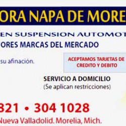 Distribuidora Napa de Morelia img-0