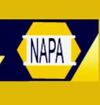 Logo de Distribuidora Napa de Morelia