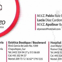 El P.Razo Clínica Veterinaria Suc. Sta María M.V.Z Apolinar Ibarra Glez. img-0