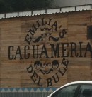 Logo de Emilia’s Caguameria del Bule