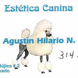 Estética Canina img-0