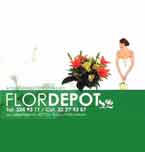 Logo de Flor Depot