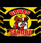 Logo de Gruas Sanoro