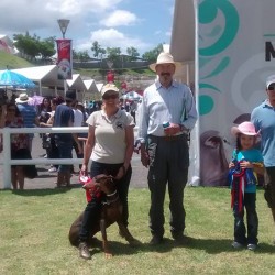 Grupo de Agilidad Canina Morelia img-10