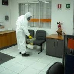 Exter Fumigaciones Morelia img-8