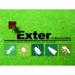 Exter Fumigaciones Morelia img-2