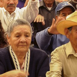 INAPAM Instituto Nacional de las Personas Adultas Mayores img-3