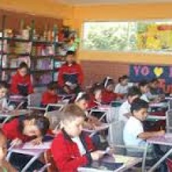 Instituto Harvard de morelia img-1