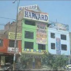 Instituto Harvard de morelia img-0