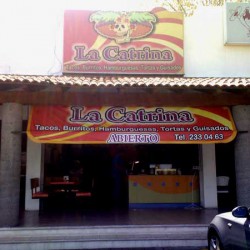 La Catrina img-0
