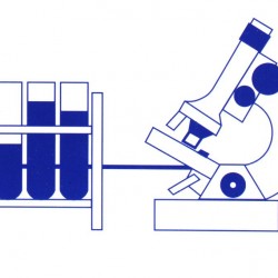 Laboratorio Santa Maria img-2