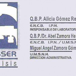 Labsser Análisis img-0