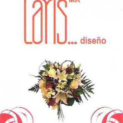 Laris Diseño img-0