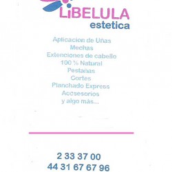 Libélula Estética img-0