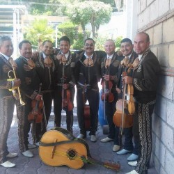 Mariachi Monarca de Morelia img-1