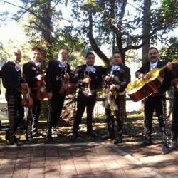 Mariachi Monarca de Morelia img-5