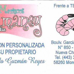 Mariscos Camaney Morelia img-0