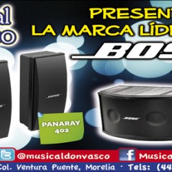 Musical Don Vasco img-1