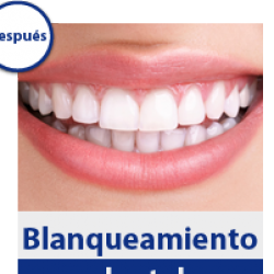 Nueva Imagen Dental img-2