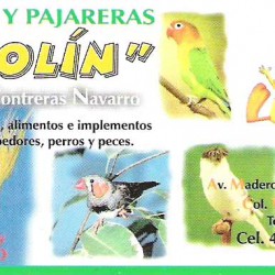 Piolín img-0