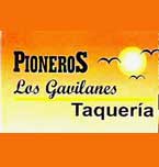 Logo de Pioneros Los Gavilanes Taquería