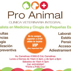 Pro Animal img-0