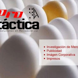 PRO TACTICA img-0